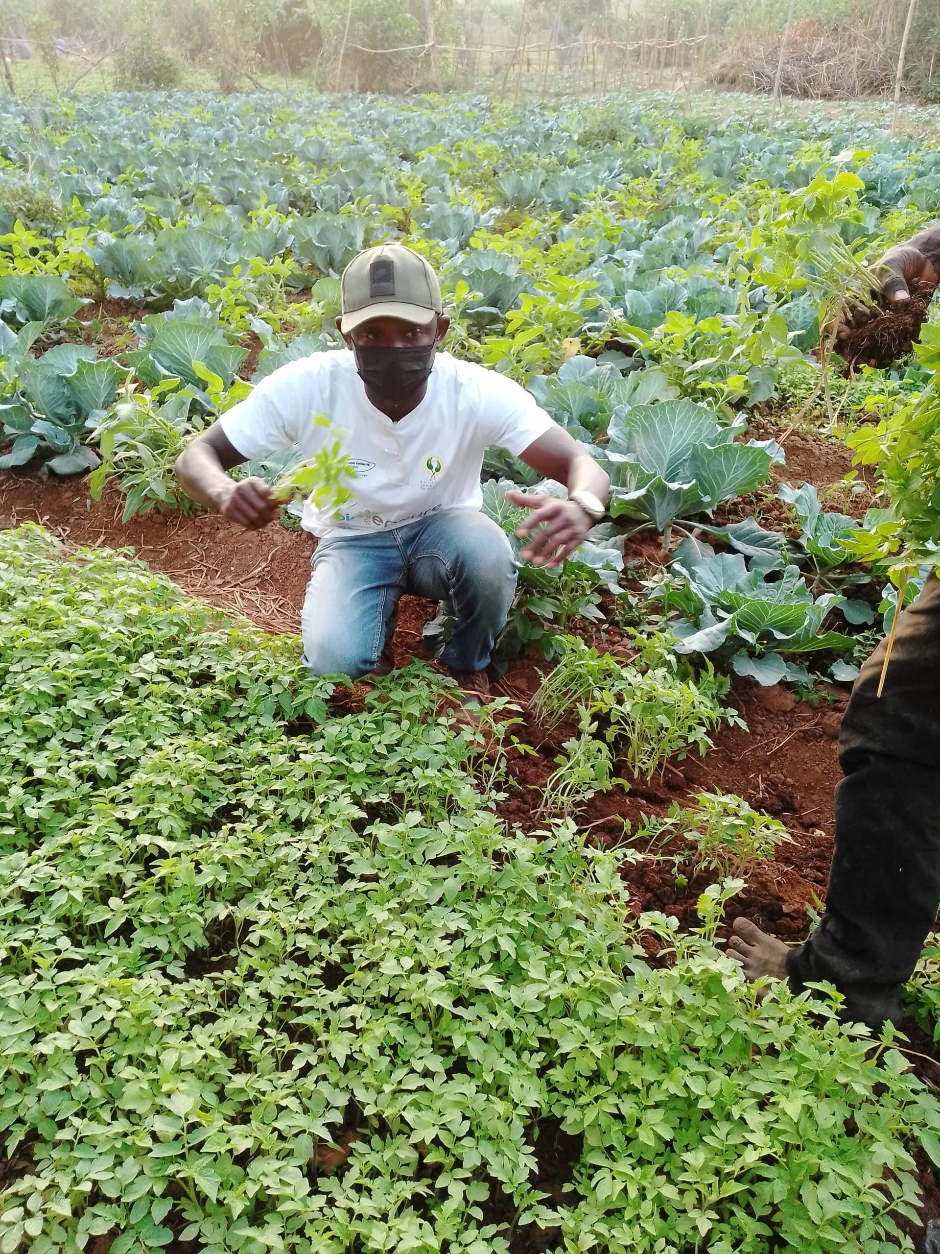 ACRS field team at work
