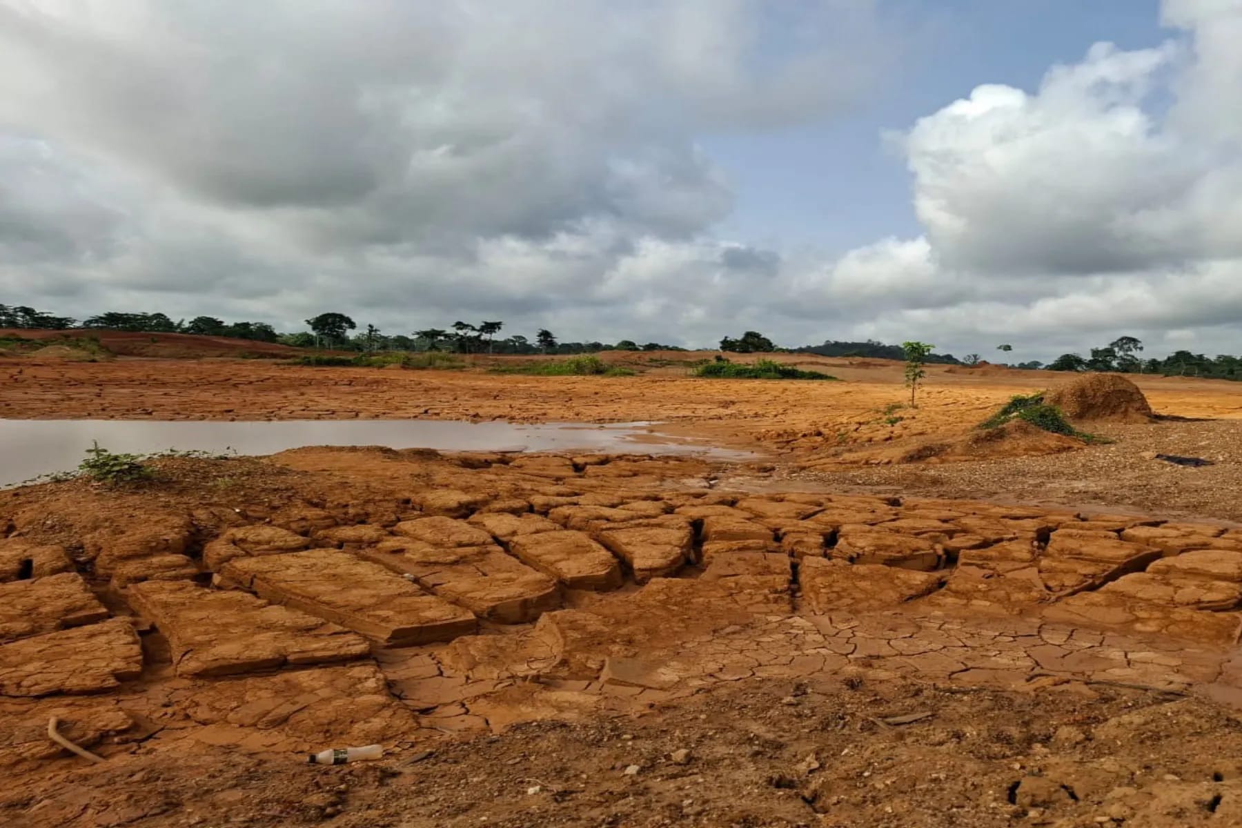 Reclaiming abandoned mining sites in Ghana for agricultural purposes.