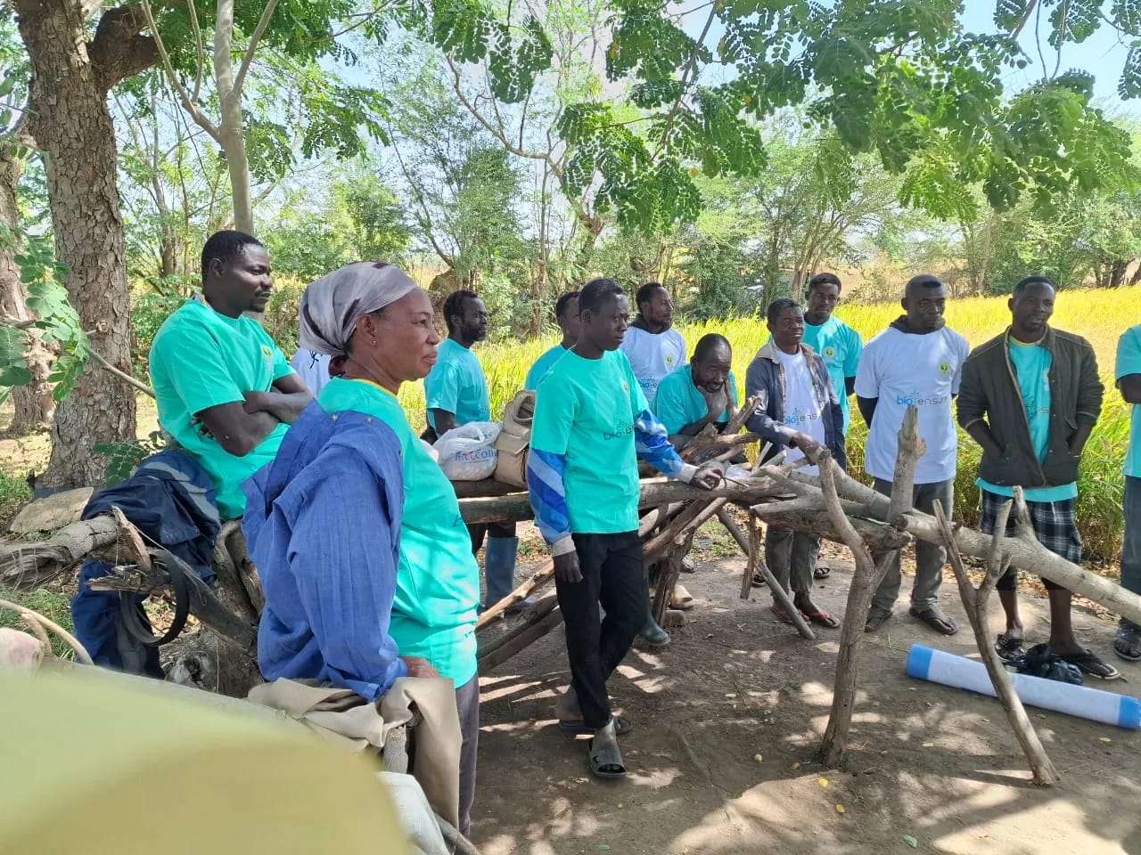 Food Ensure Ghana: climate-smart fertilizers for smallholder farmers
