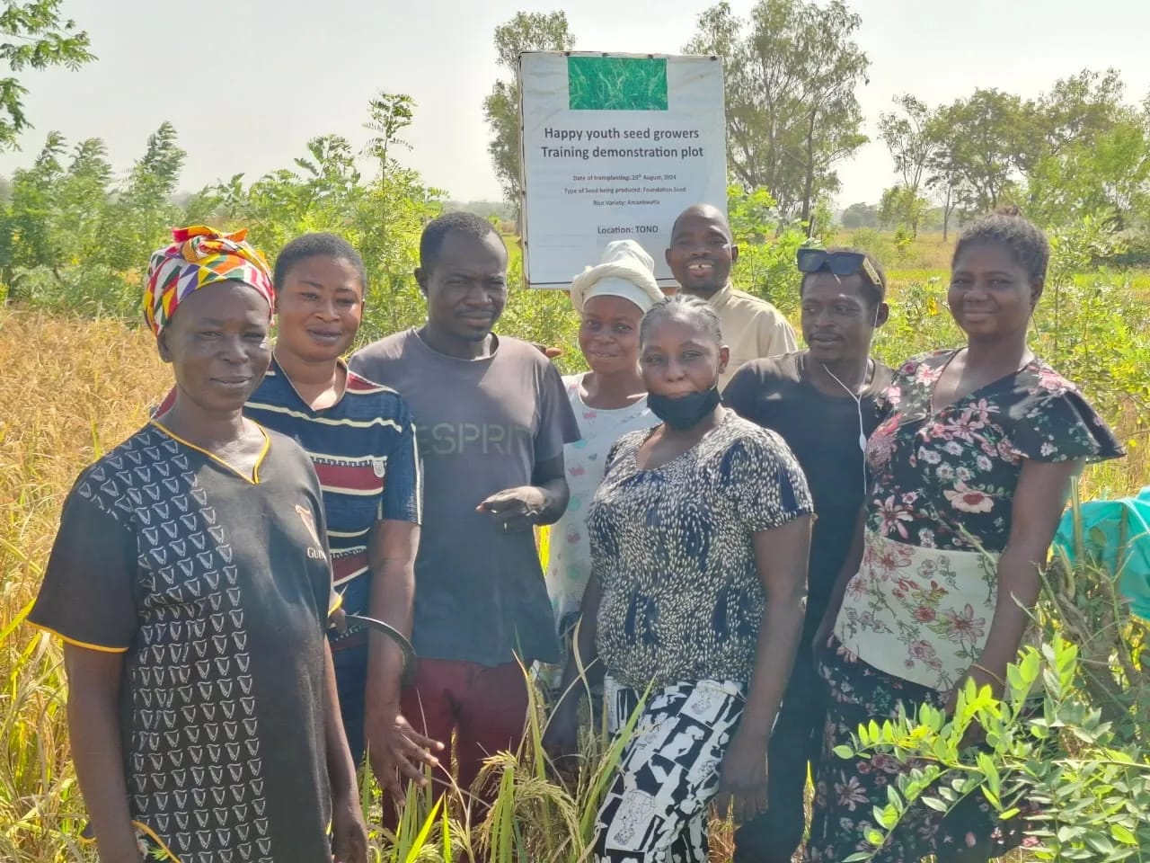 Enhancing Soil and Plant Health for Sustainable Crop Production Through Biochar-Endophyte Synergy in the Savannah Zone of Ghana