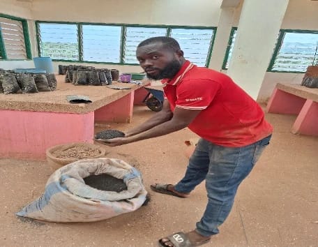 Using Rice Husk and Sawdust Biochar to Improve Soil for Sustainable Vegetable Farming in Northern Ghana